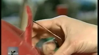 foto animata delle mani della scultrice che creano una delle sue opere
