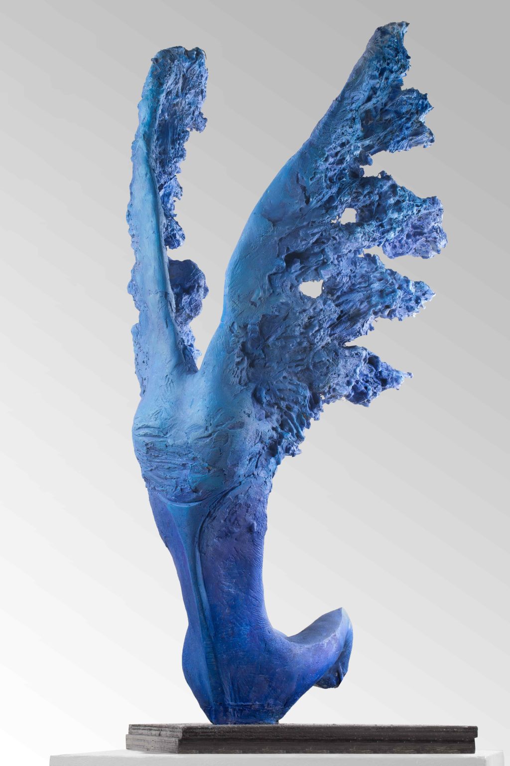 Scultura Calco in benda ingessata e mappe